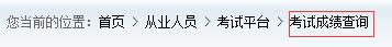 考試成績(jī)查詢